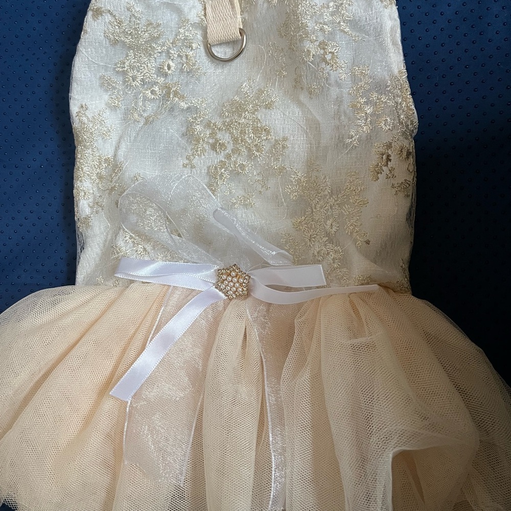 Elegant Cream and Gold Lace Dress